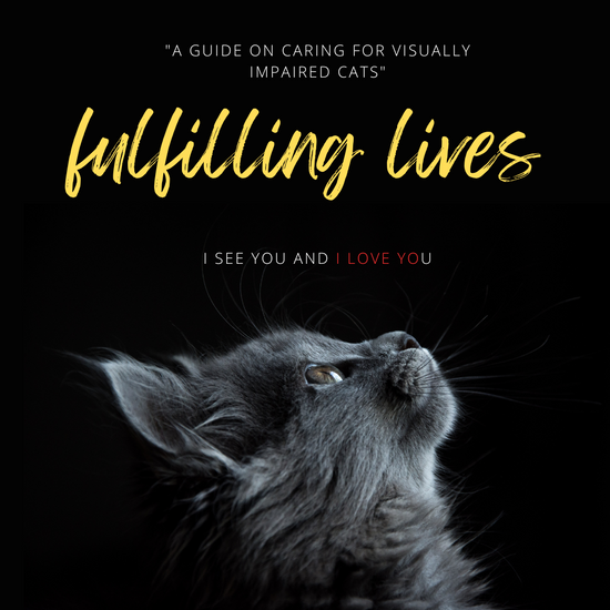 "Nurturing Your Visually Impaired Cat"