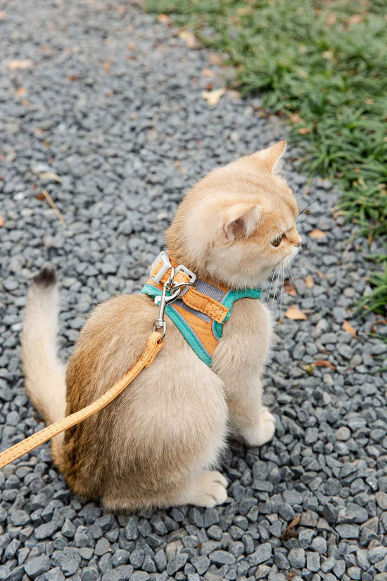 Cat Traction Rope Vest-Style Harness: