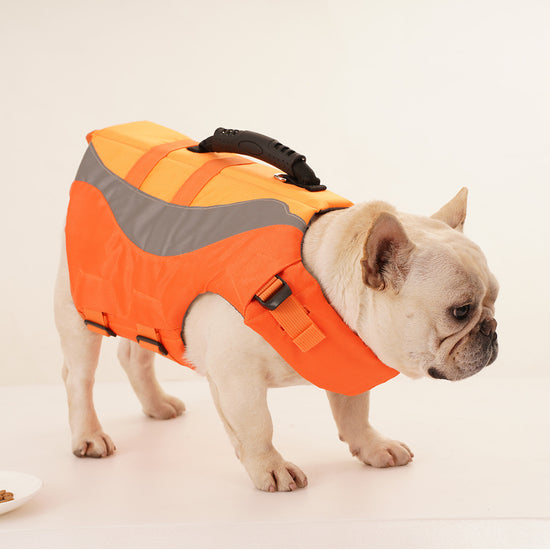 Reflective Dog Life Jacket