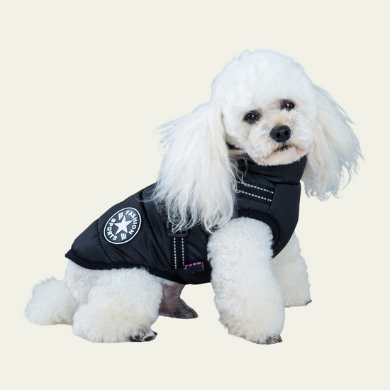  Dog Reflective Waterproof Winter Jacket 