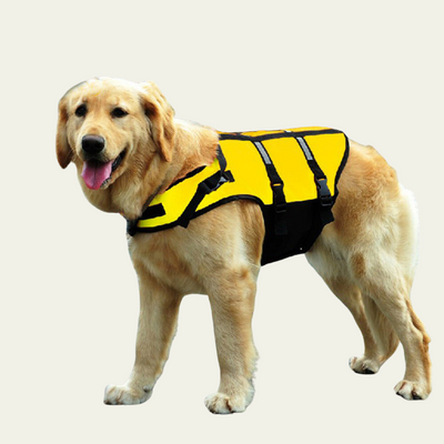  Dog Life Jacket