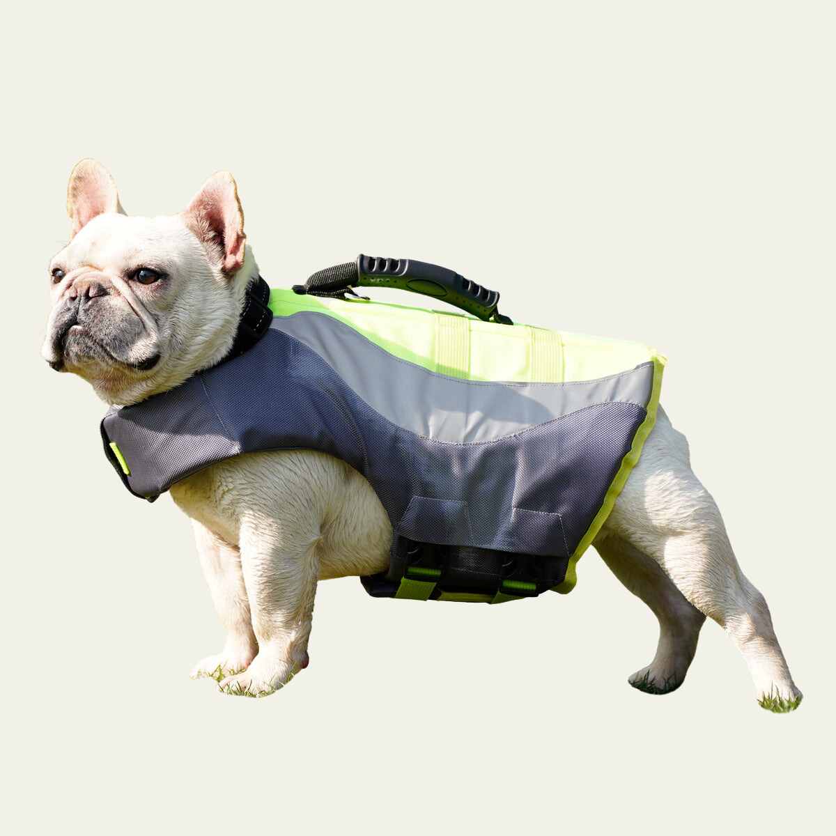 Reflective Dog Life Jacket