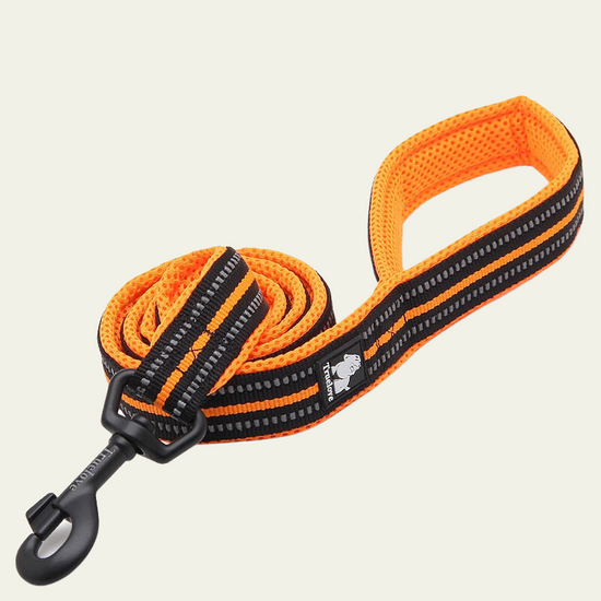 Reflective Animal Instinct Dog Leash