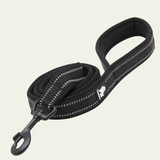 Reflective Animal Instinct Dog Leash