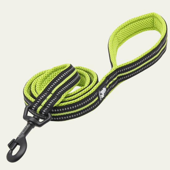 Reflective Animal Instinct Dog Leash