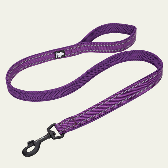 Reflective Animal Instinct Dog Leash