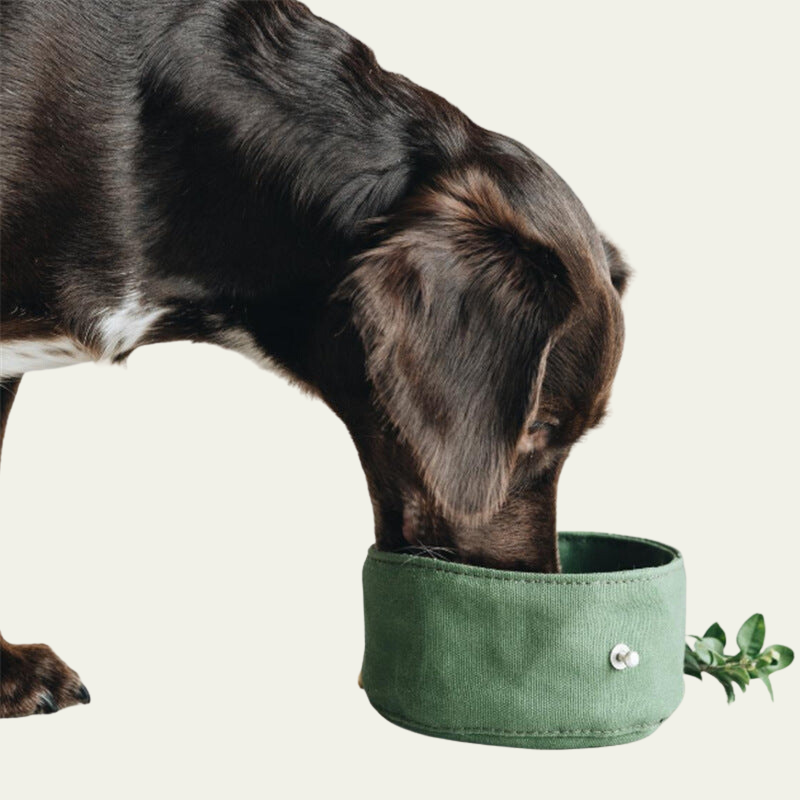 Waterproof Foldable Travel Pet Bowl