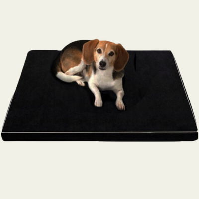  Orthopedic Memory Foam Bed for Larger and Elderly Pets