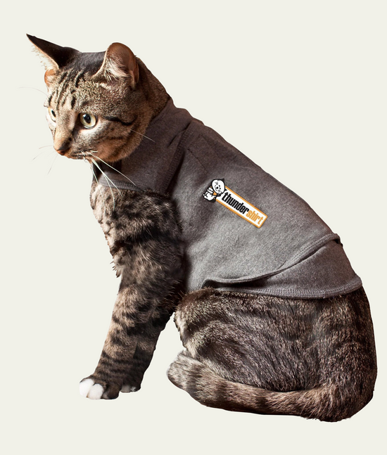 Thunder Shirt Calm Anxiety For Cats 