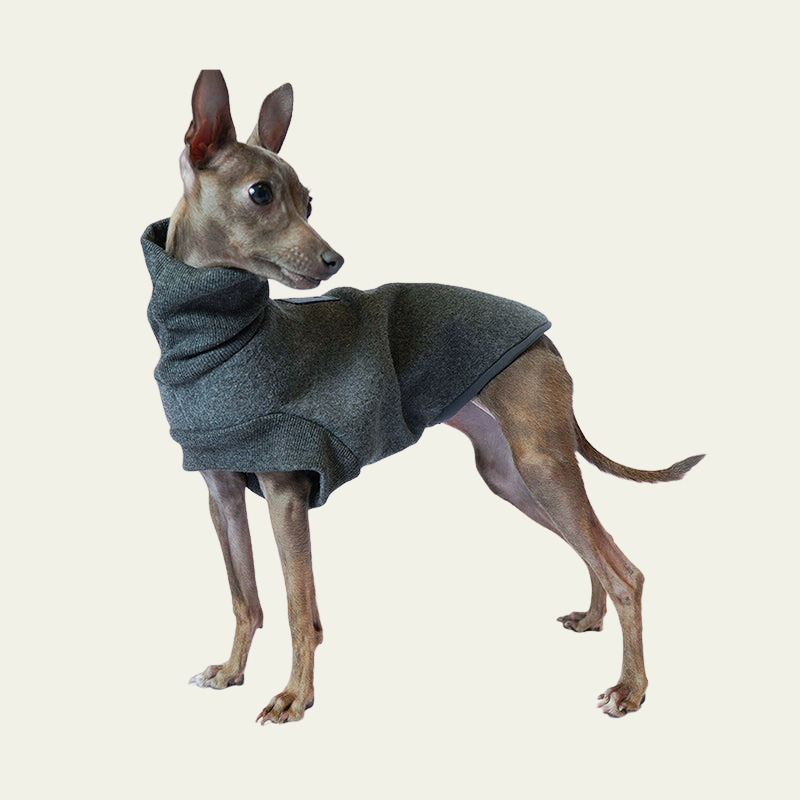 Italian Bellington Fleece Dog Sweater 