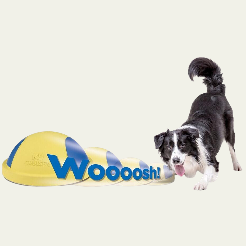 Squeak Zoom Dog Toy