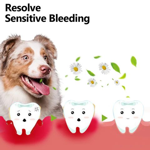 Cvreoz® Pet Oral Restoration Gel