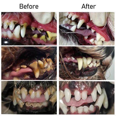 Cvreoz® Pet Oral Restoration Gel