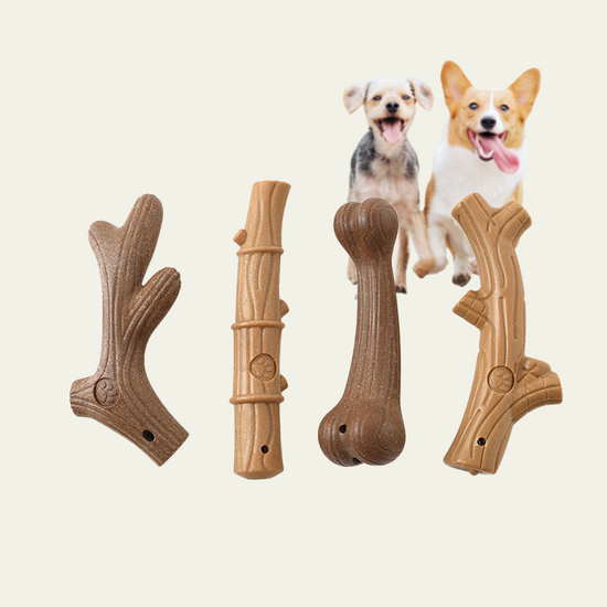 Nature Molar Interactive Fiber Toy Collection