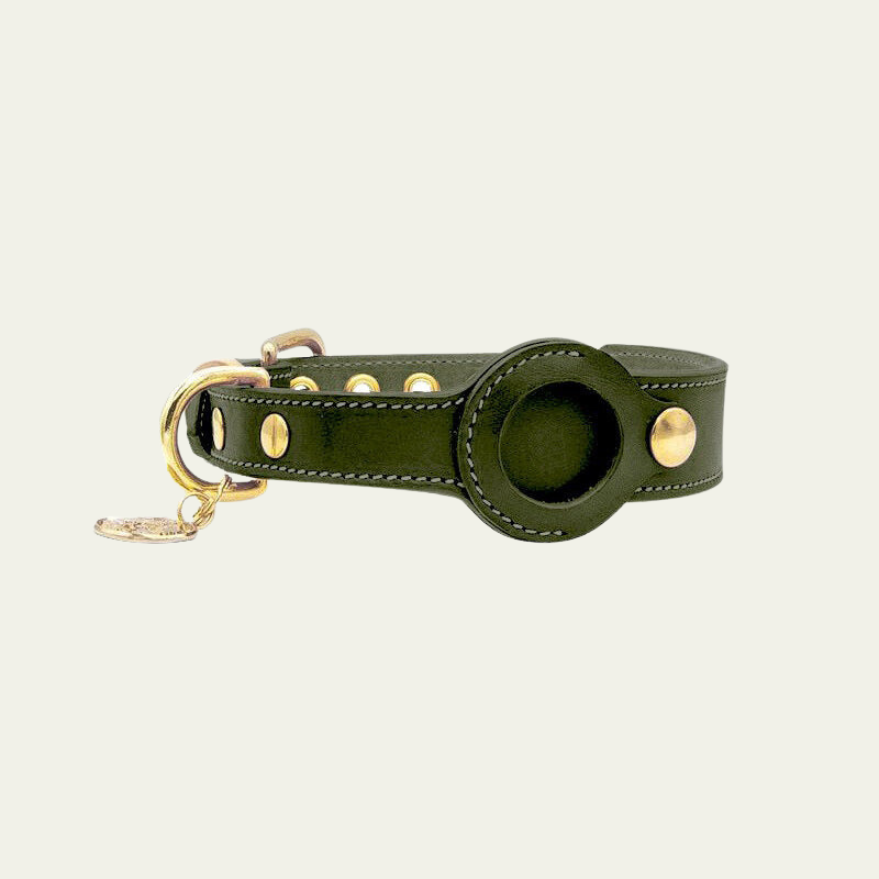 Apple AirTag Compatible Leather Dog Collar