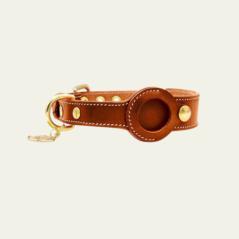 Apple AirTag Compatible Leather Dog Collar