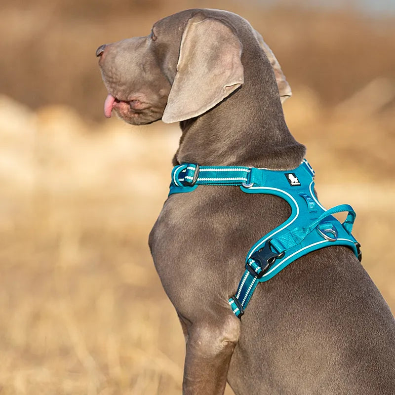 3M/SAFE High Quality Dog Harness 