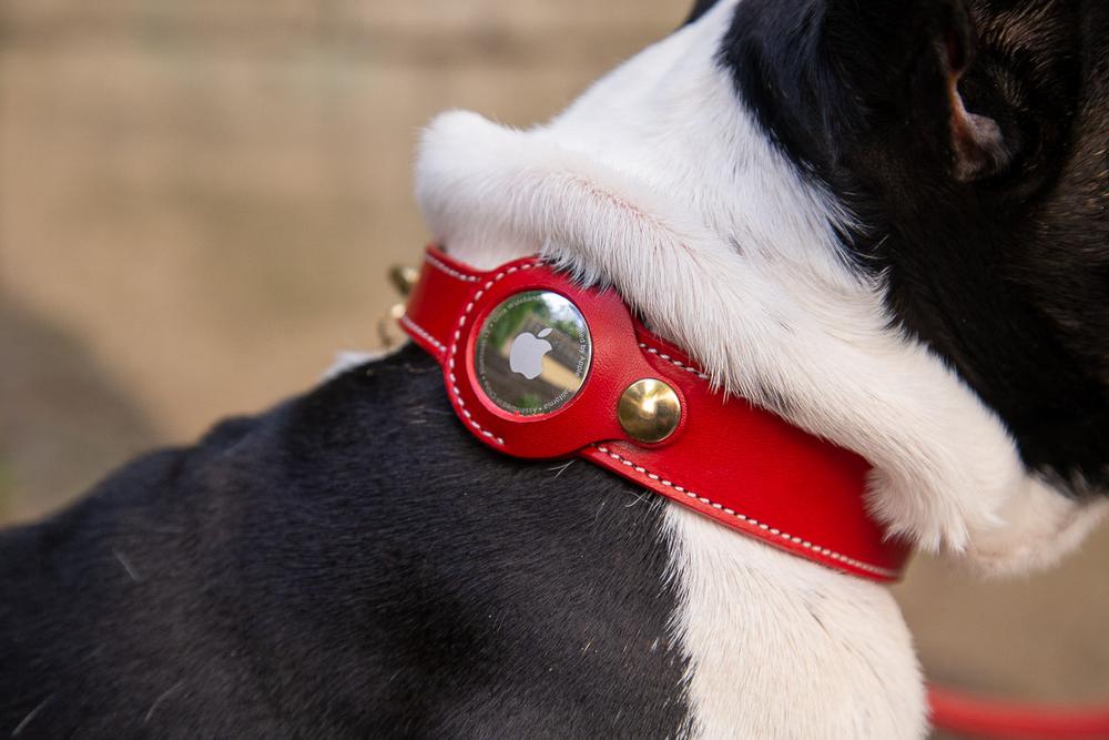 Apple AirTag Compatible Leather Dog Collar