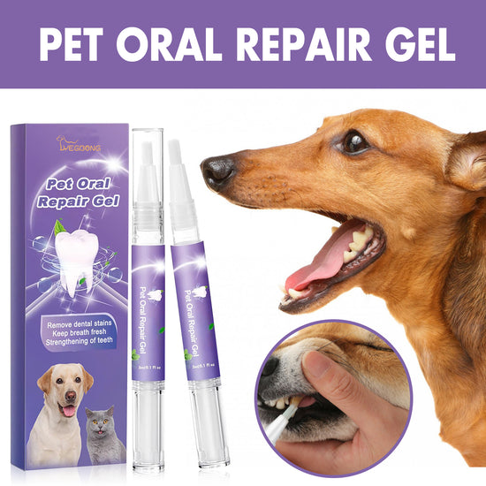 Cvreoz® Pet Oral Restoration Gel